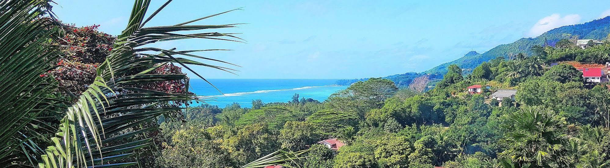 Lime Hill Lodge Anse aux Pins Exterior photo